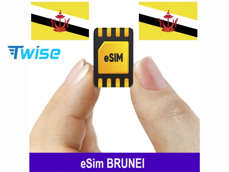 Lợi ích của eSIM Brunei