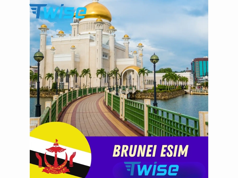 Những lưu ý khi sử dụng eSIM Brunei