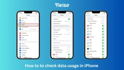 Check Data Usage on iPhone