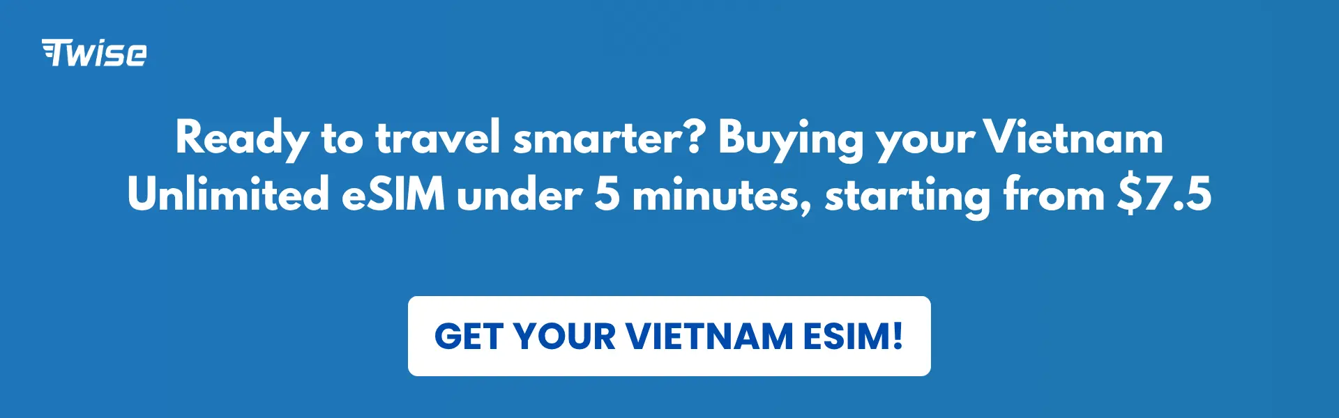 esim vietnam providers